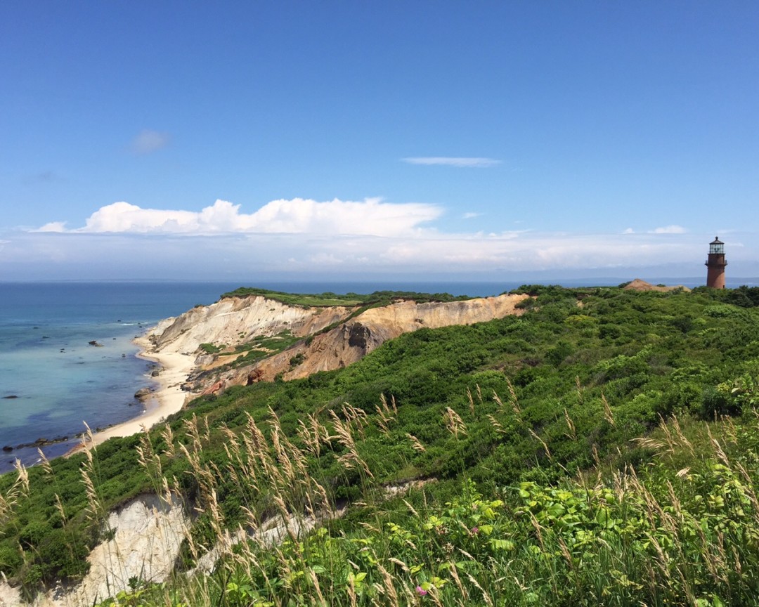 Martha's Vineyard Clay Cliffs and Light